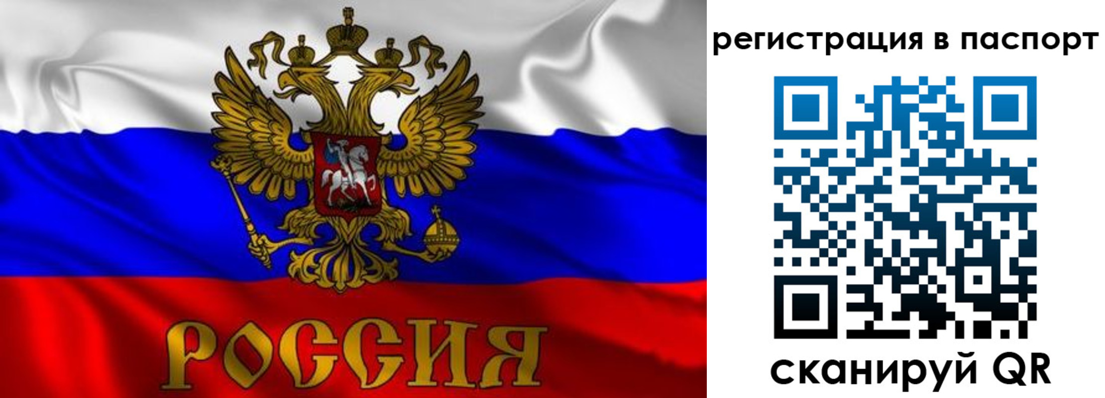 найти адрес прописки в Лесном